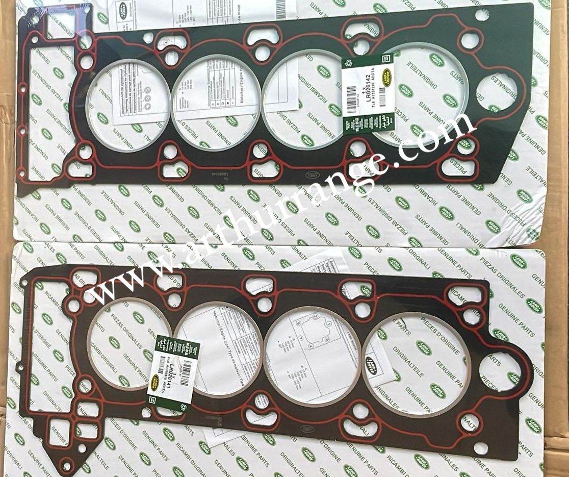 Engine Gasket - View 2