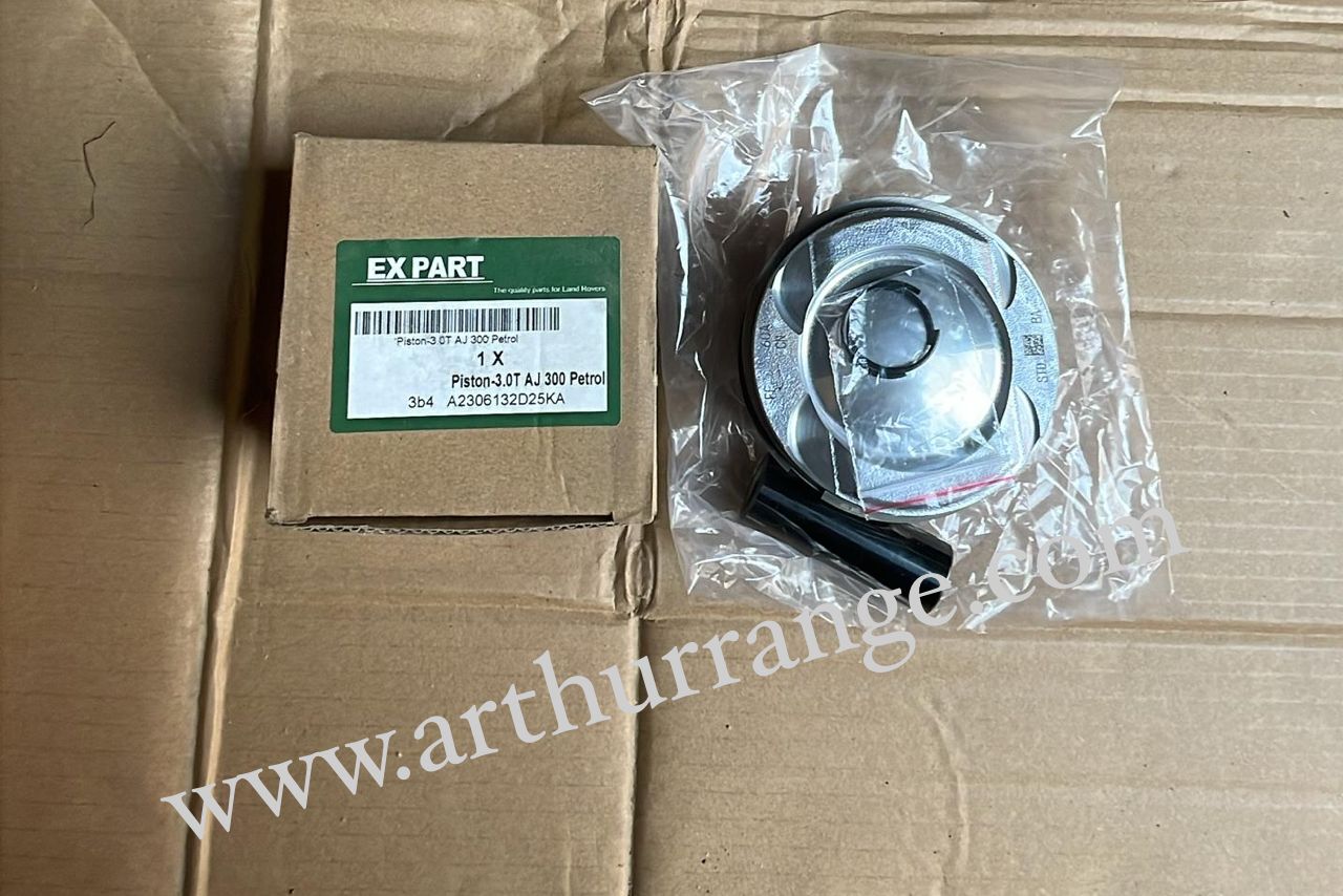 Piston / Rings - View 4