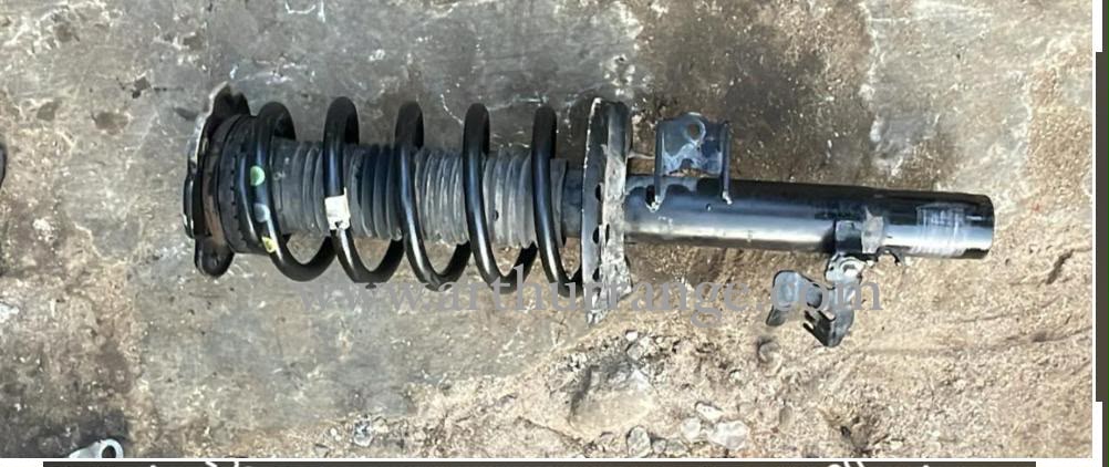 Shorck Absorber 