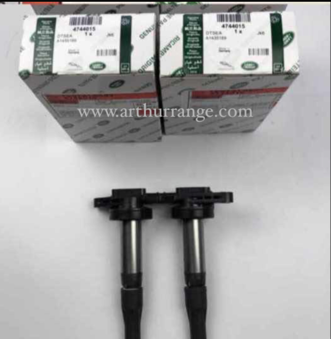 Engine Coil Sports / Voque / Lr4 2010