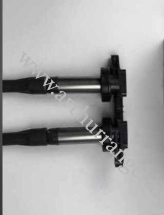 Engine Coil Sports / Voque / Lr4 2010 - View 2